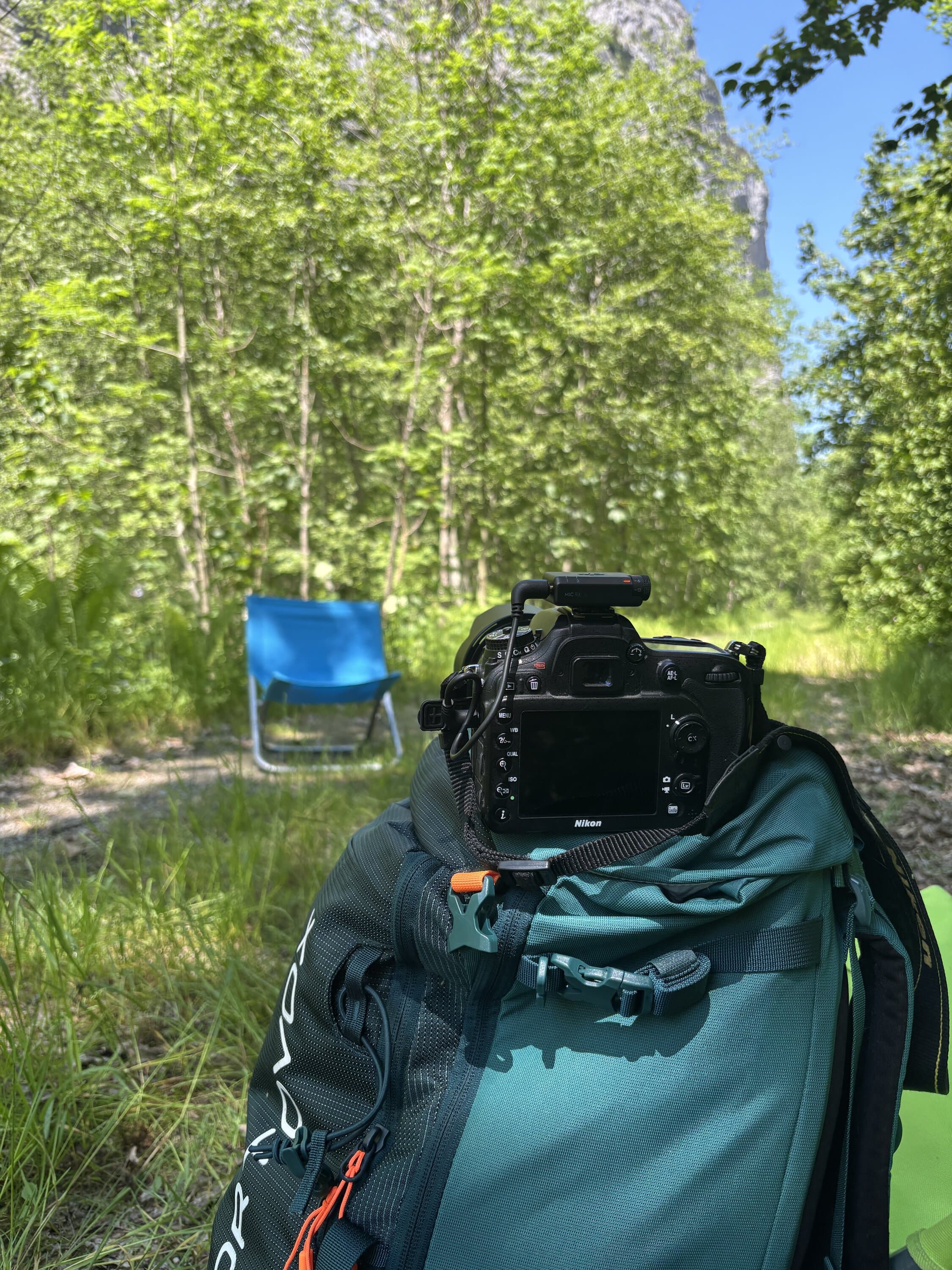 Packed parachute gear lying on a forest floor
